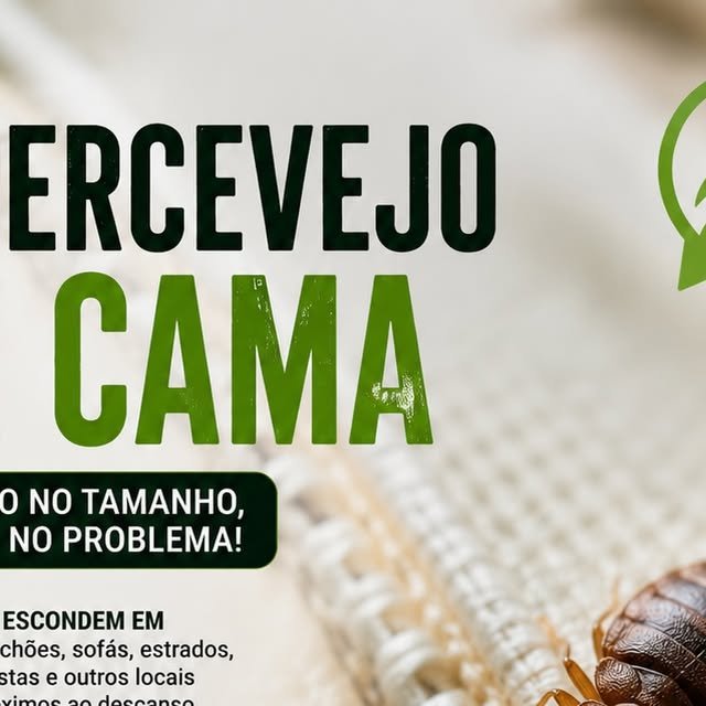 Percevejo de cama