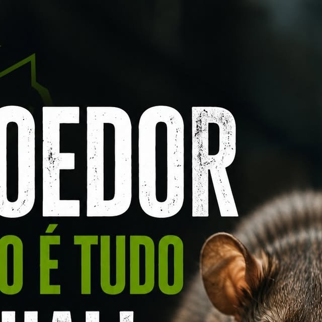 Controle de roedores